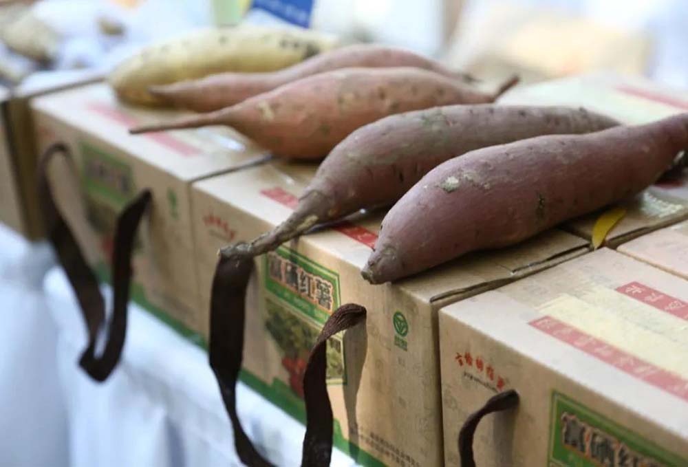 冰球突破-冰球电游豪华版_MG冰球游戏